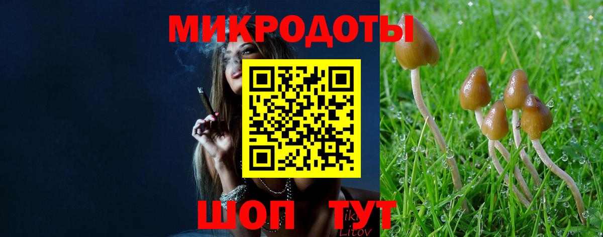 Галлюциногенные грибы Cubensis  Вход с VPN  Избербаш 