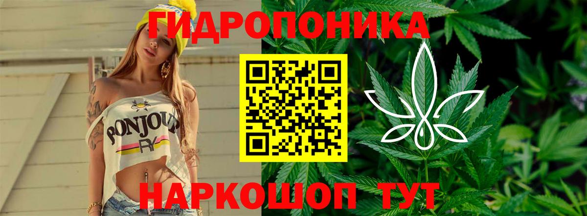 Бошки марихуана индика  Марихуана сатива  Избербаш  МАРИХУАНА SATIVA & INDICA  Конопля VHQ  Вход с VPN 